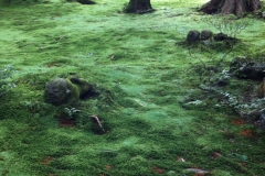 Garden Kyoto